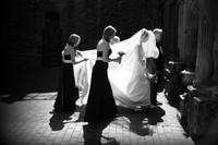 David Wadley Photography